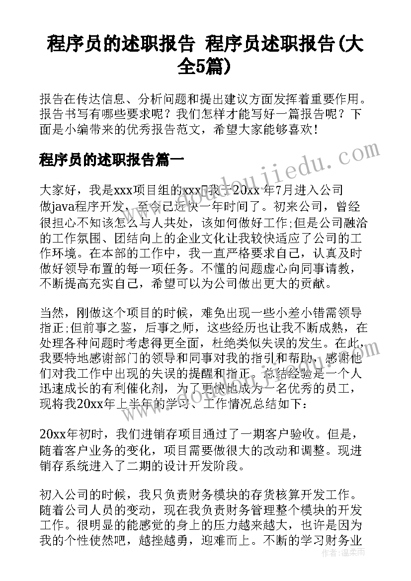 程序员的述职报告 程序员述职报告(大全5篇)