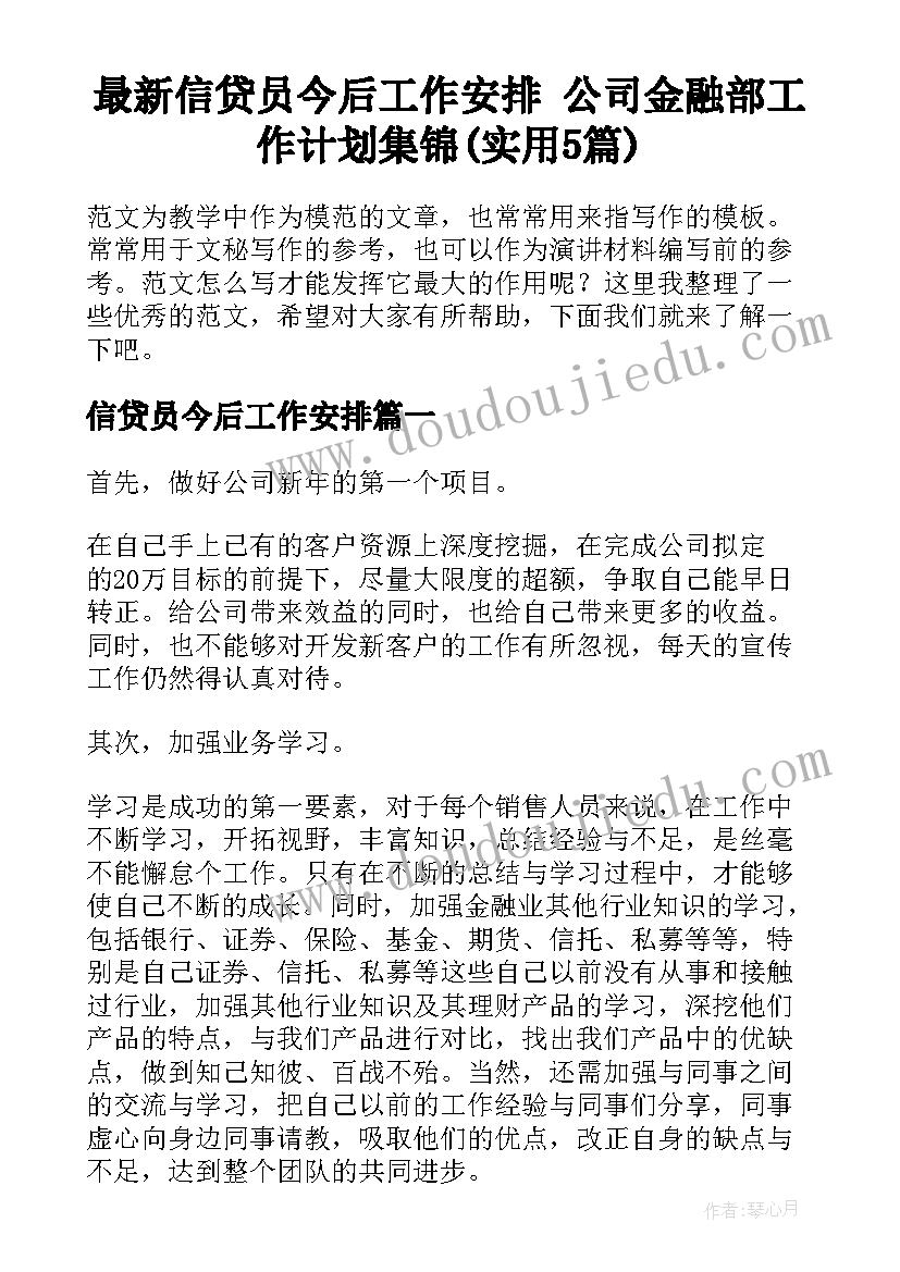 最新信贷员今后工作安排 公司金融部工作计划集锦(实用5篇)