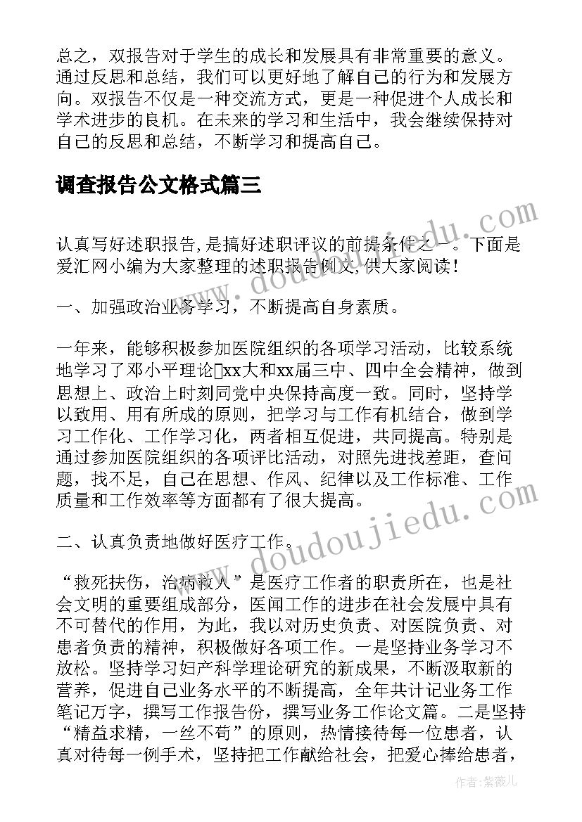 2023年调查报告公文格式(大全8篇)