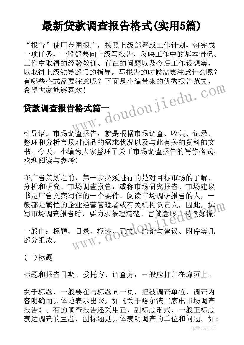 最新贷款调查报告格式(实用5篇)