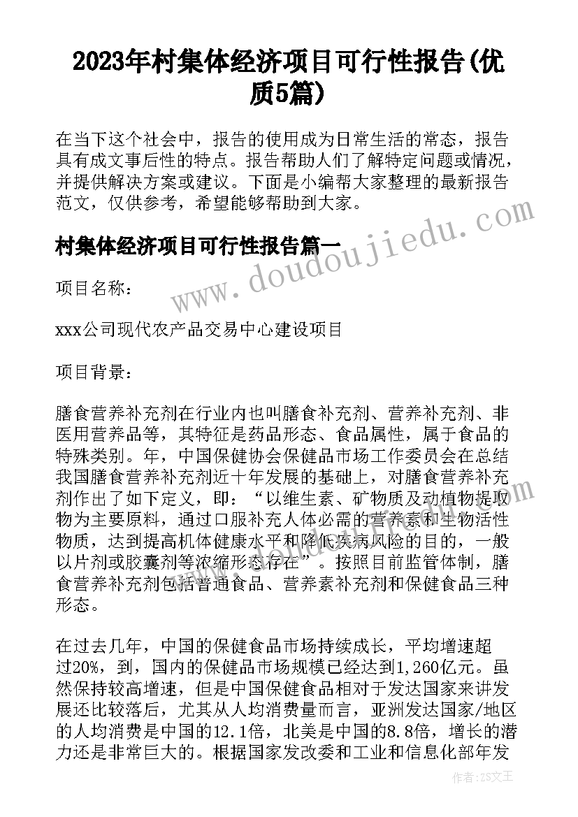 2023年村集体经济项目可行性报告(优质5篇)