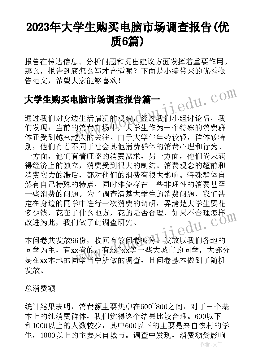 2023年大学生购买电脑市场调查报告(优质6篇)