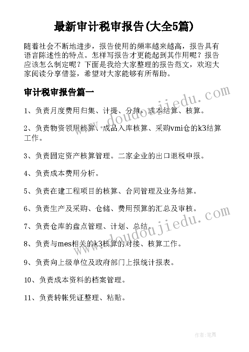 最新审计税审报告(大全5篇)