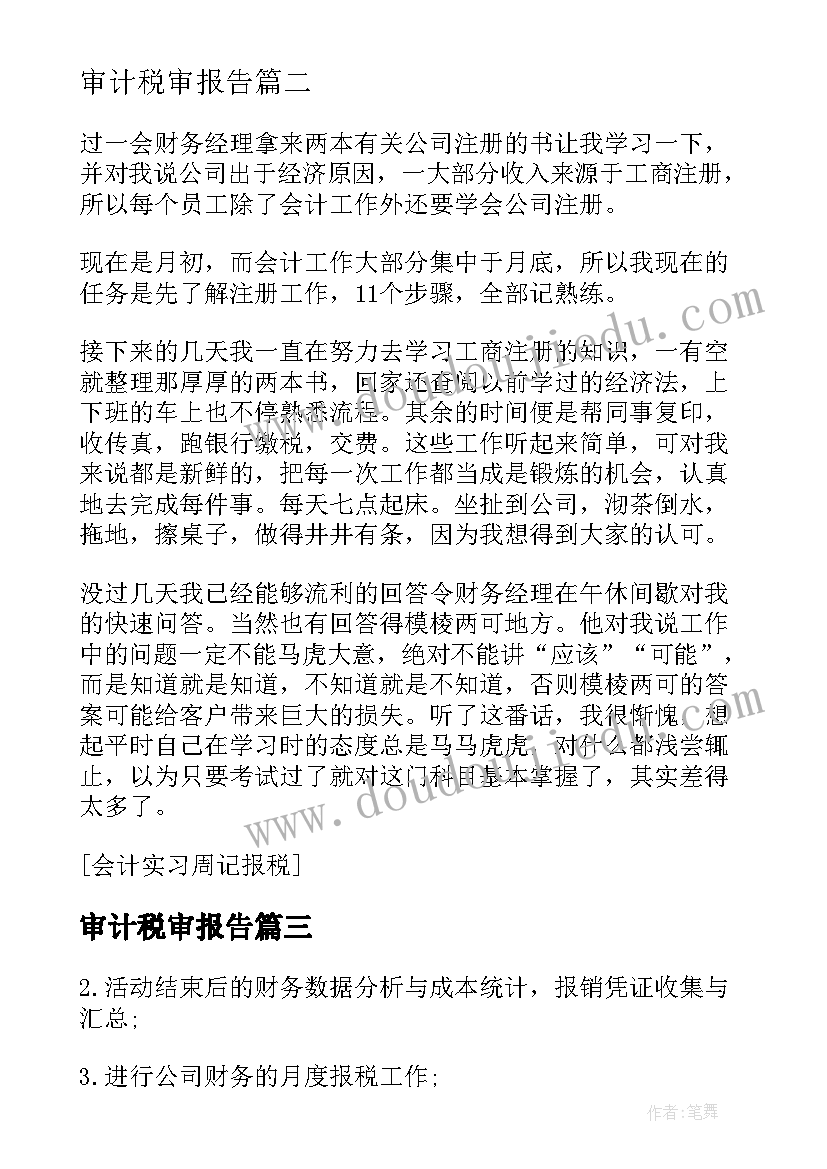 最新审计税审报告(大全5篇)