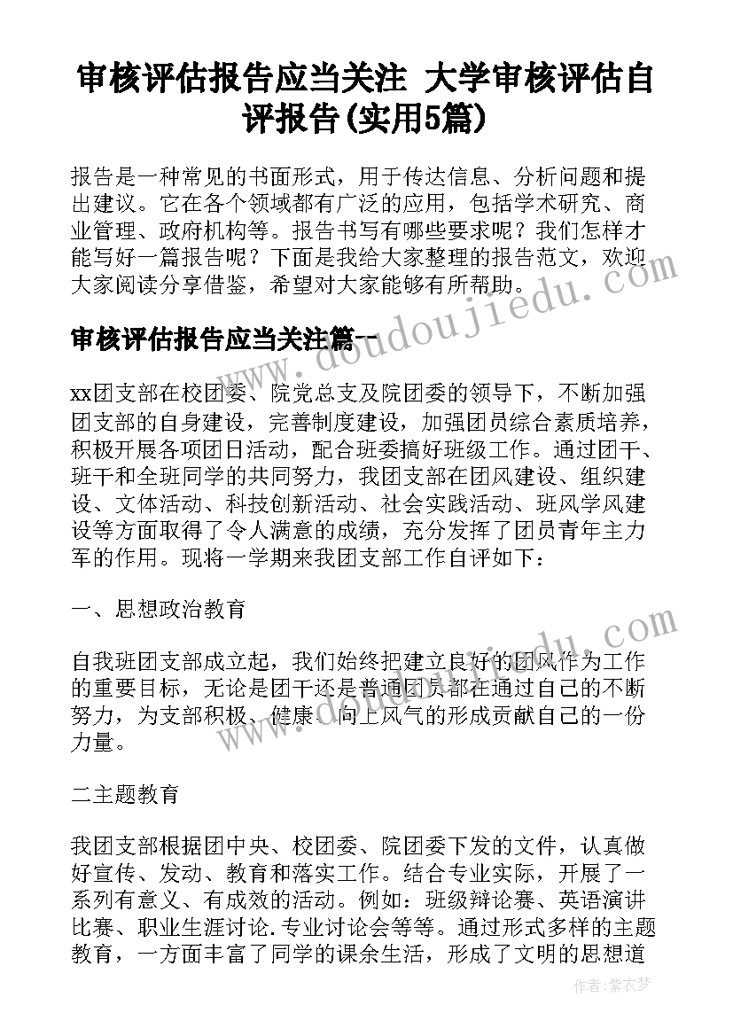 审核评估报告应当关注 大学审核评估自评报告(实用5篇)