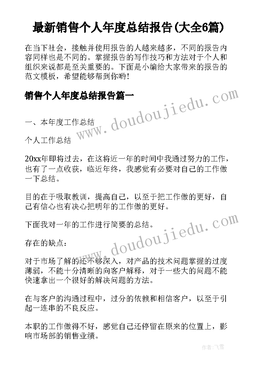 最新销售个人年度总结报告(大全6篇)