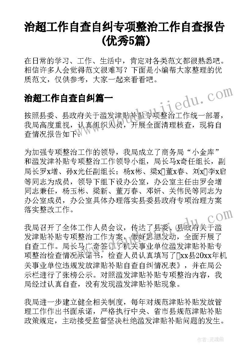 治超工作自查自纠 专项整治工作自查报告(优秀5篇)