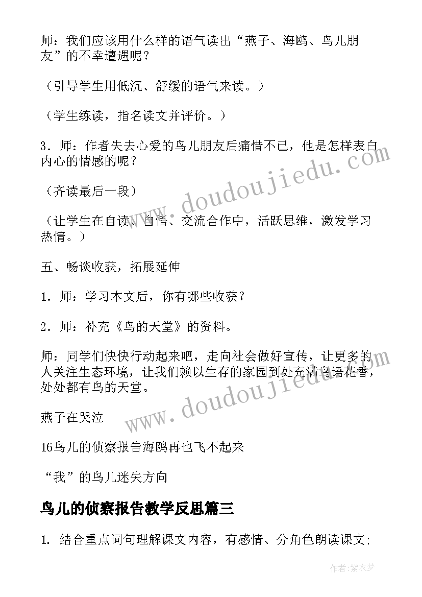 最新鸟儿的侦察报告教学反思 鸟儿的侦察报告(精选7篇)