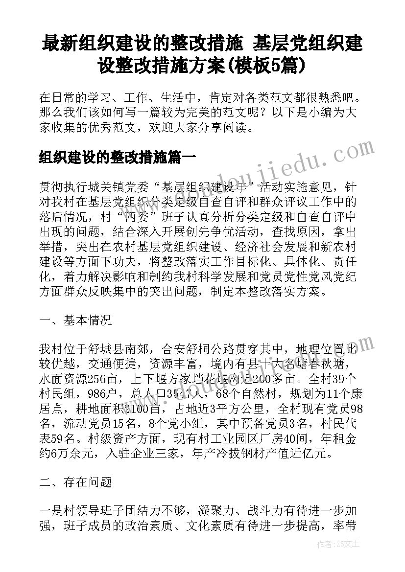 最新组织建设的整改措施 基层党组织建设整改措施方案(模板5篇)