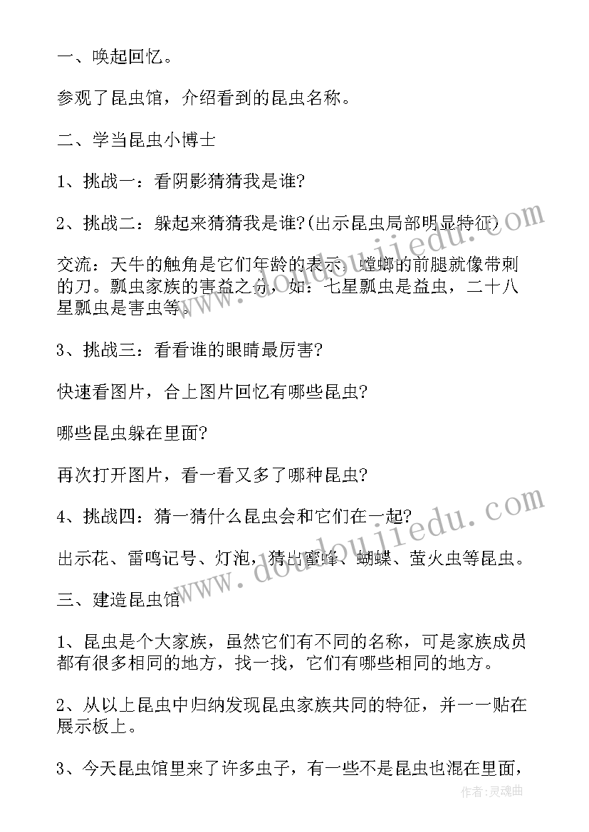 2023年大班科学制造彩虹教案(汇总5篇)