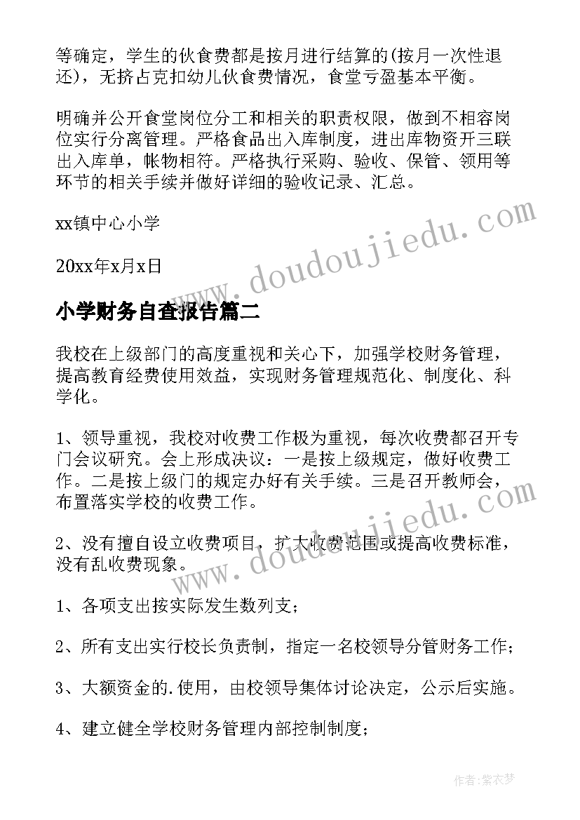 2023年小学财务自查报告(精选9篇)