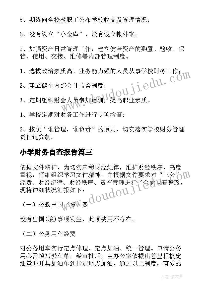 2023年小学财务自查报告(精选9篇)