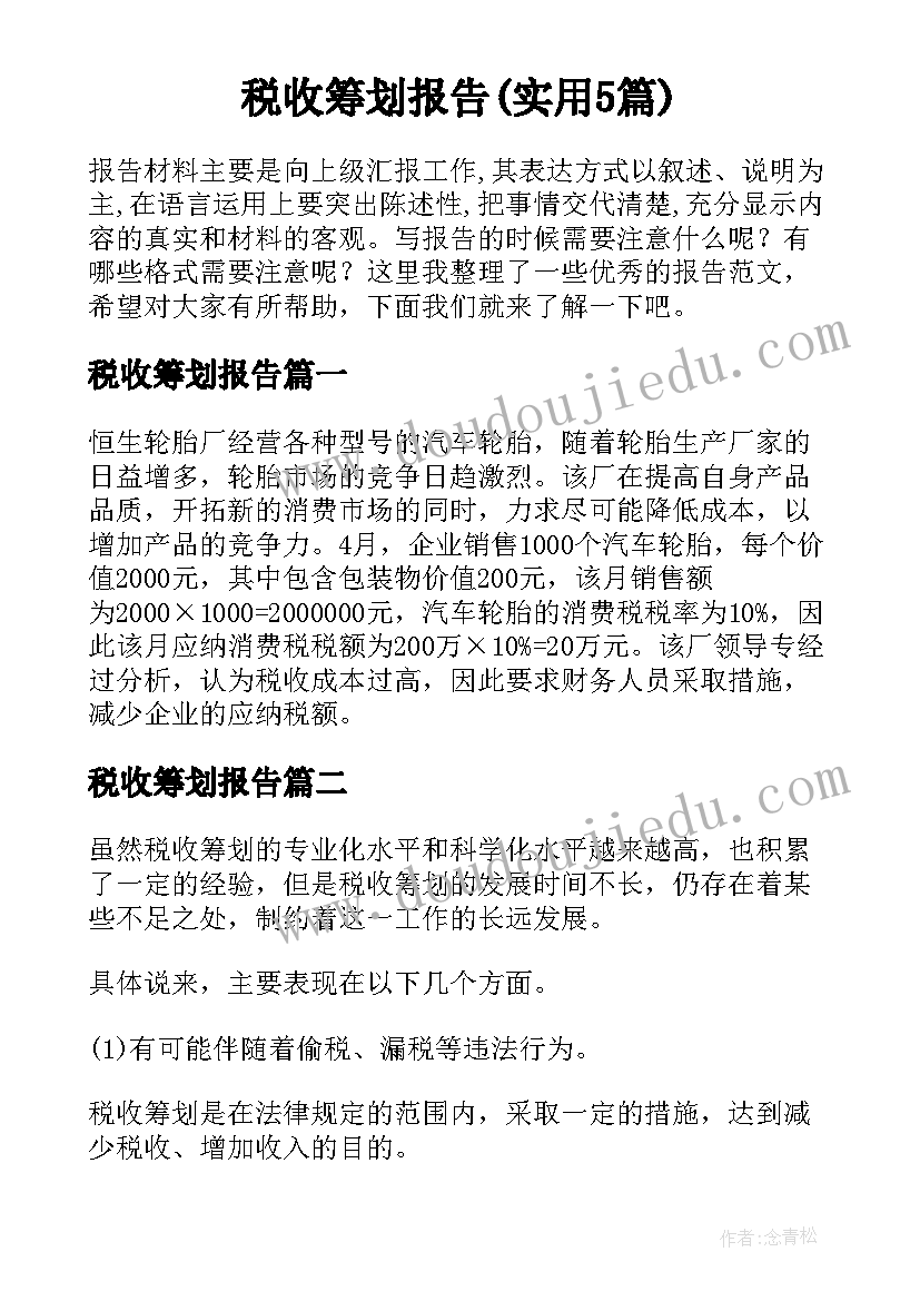 税收筹划报告(实用5篇)