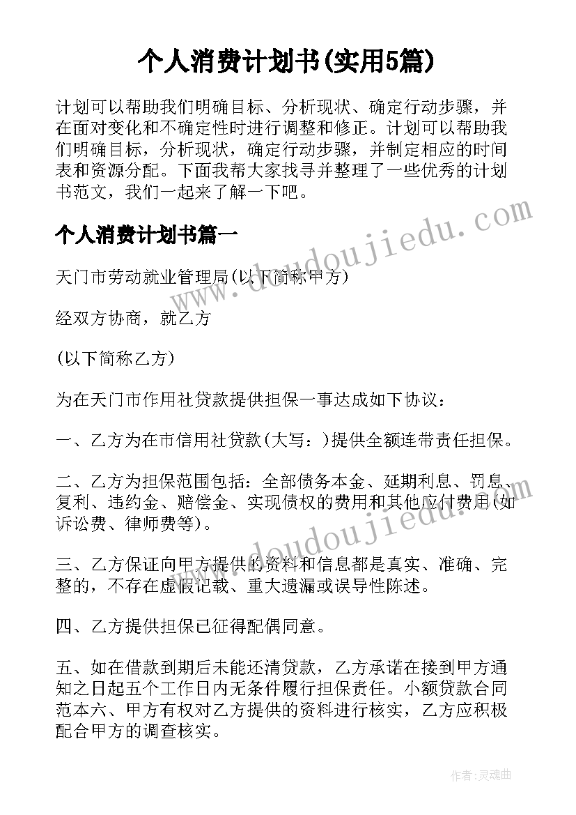 个人消费计划书(实用5篇)