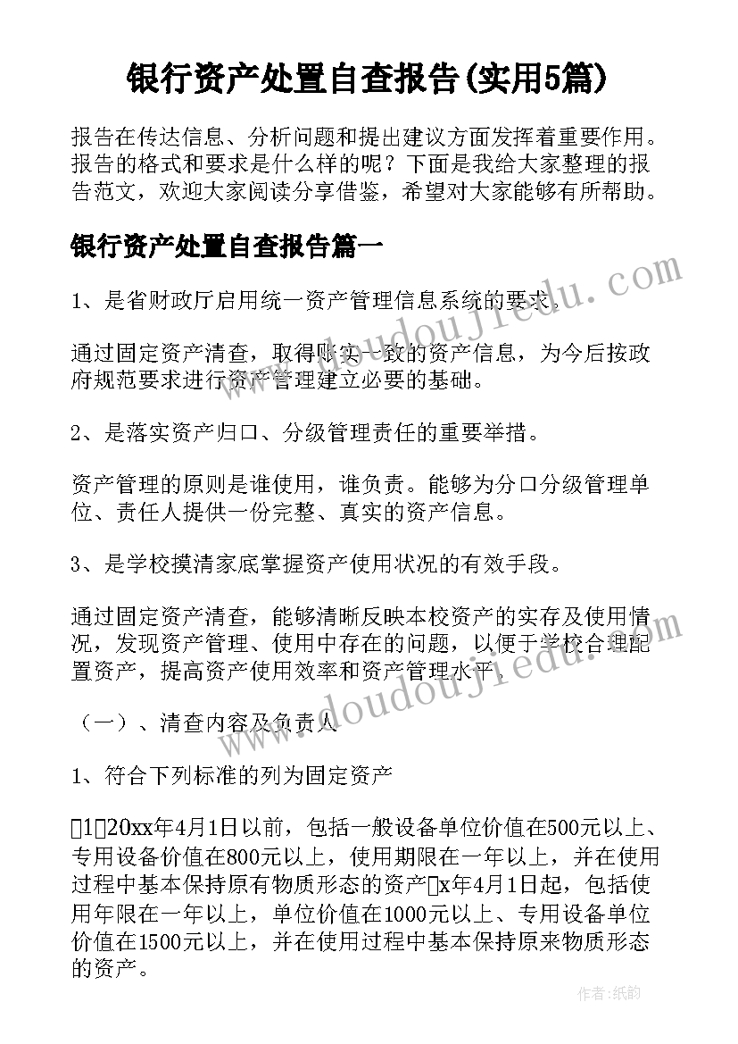 银行资产处置自查报告(实用5篇)