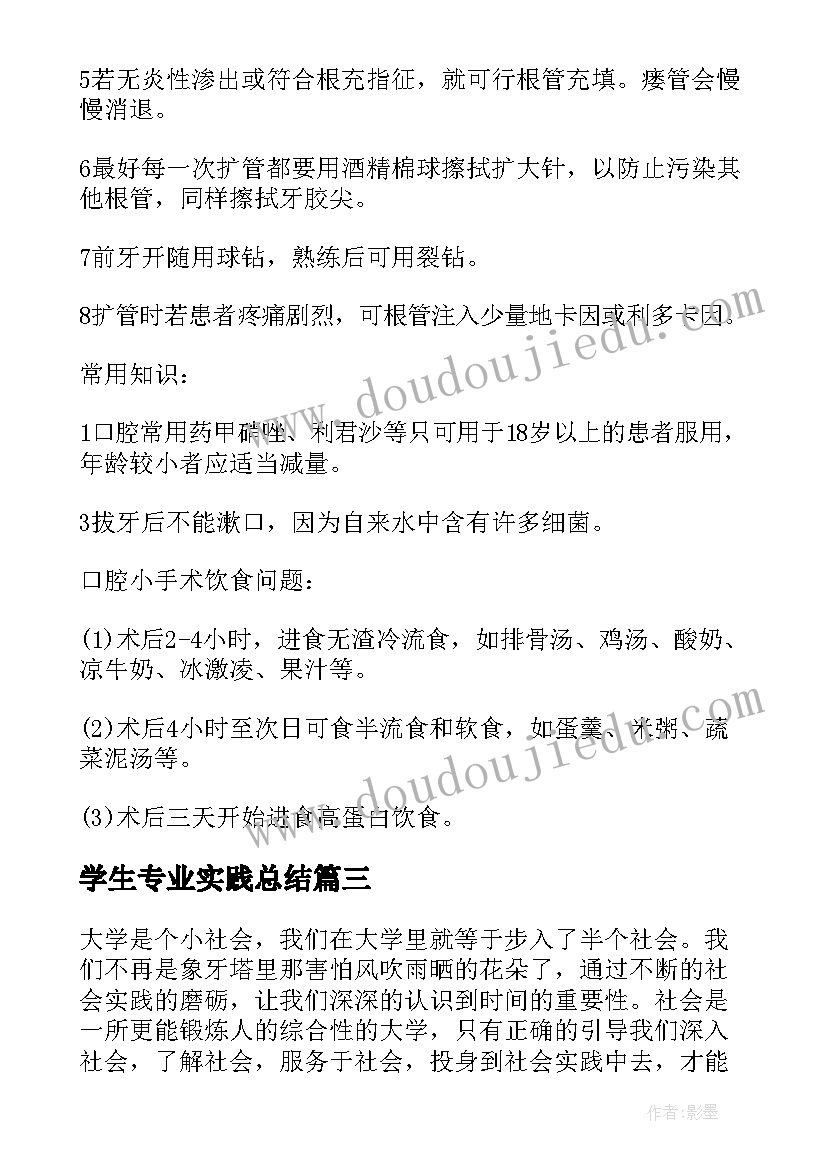 2023年学生专业实践总结 电脑专业学生的社会实践报告(优秀8篇)