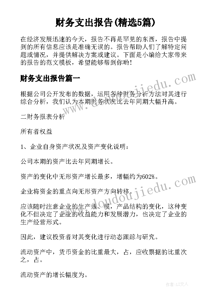 财务支出报告(精选5篇)