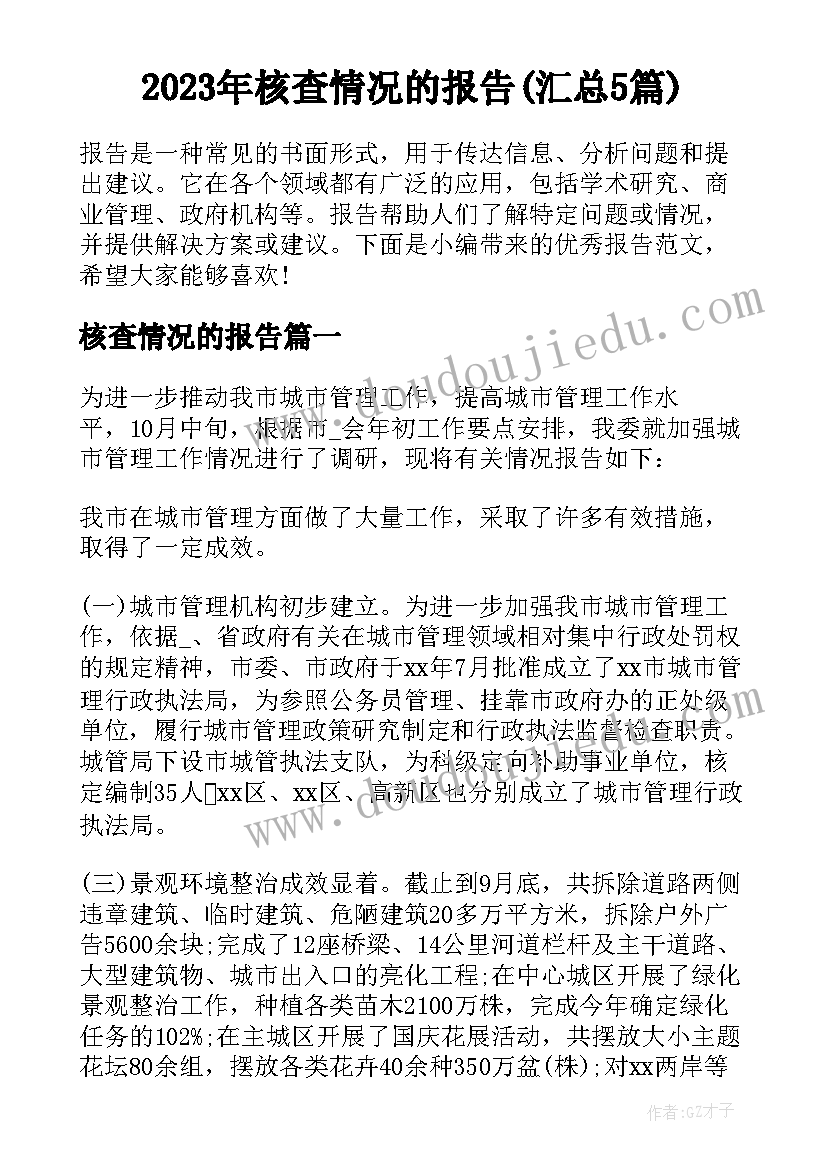 2023年核查情况的报告(汇总5篇)