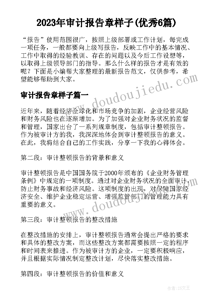 2023年审计报告章样子(优秀6篇)