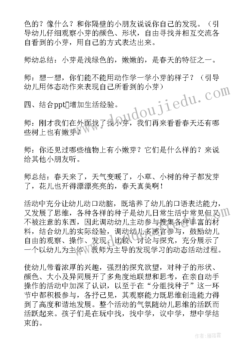 蒲公英活动意思 小区暑期活动方案(模板10篇)