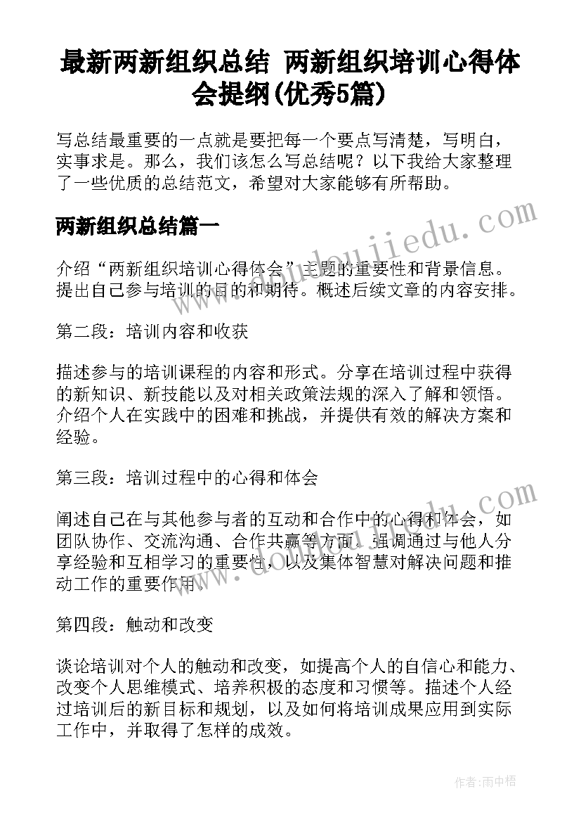 最新两新组织总结 两新组织培训心得体会提纲(优秀5篇)