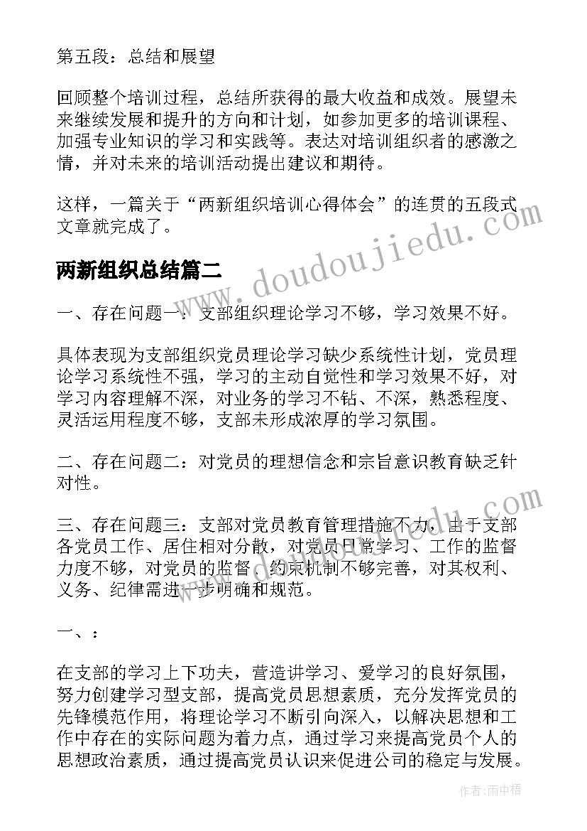 最新两新组织总结 两新组织培训心得体会提纲(优秀5篇)