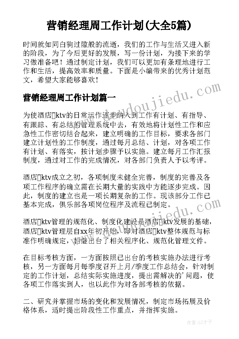 营销经理周工作计划(大全5篇)