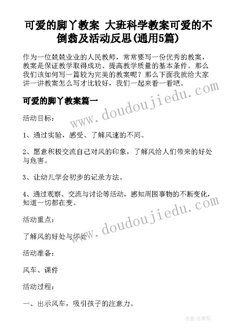 可爱的脚丫教案 大班科学教案可爱的不倒翁及活动反思(通用5篇)