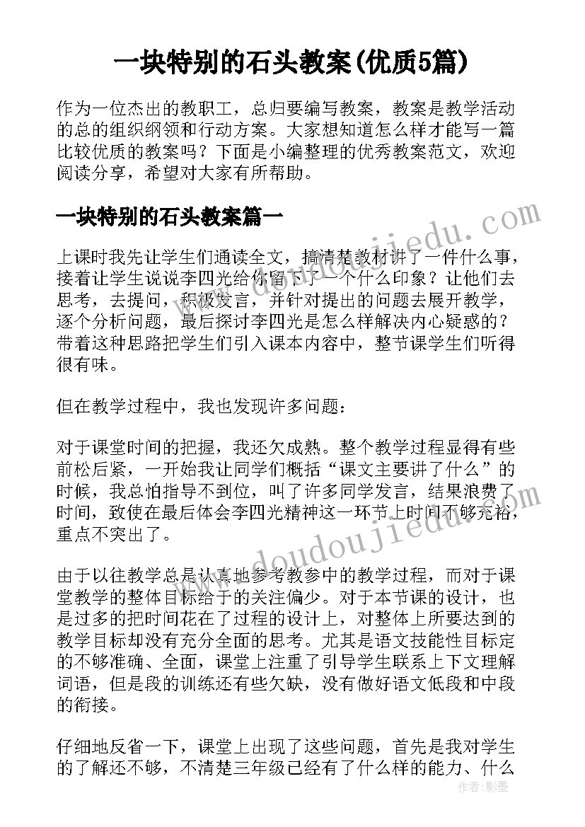 一块特别的石头教案(优质5篇)