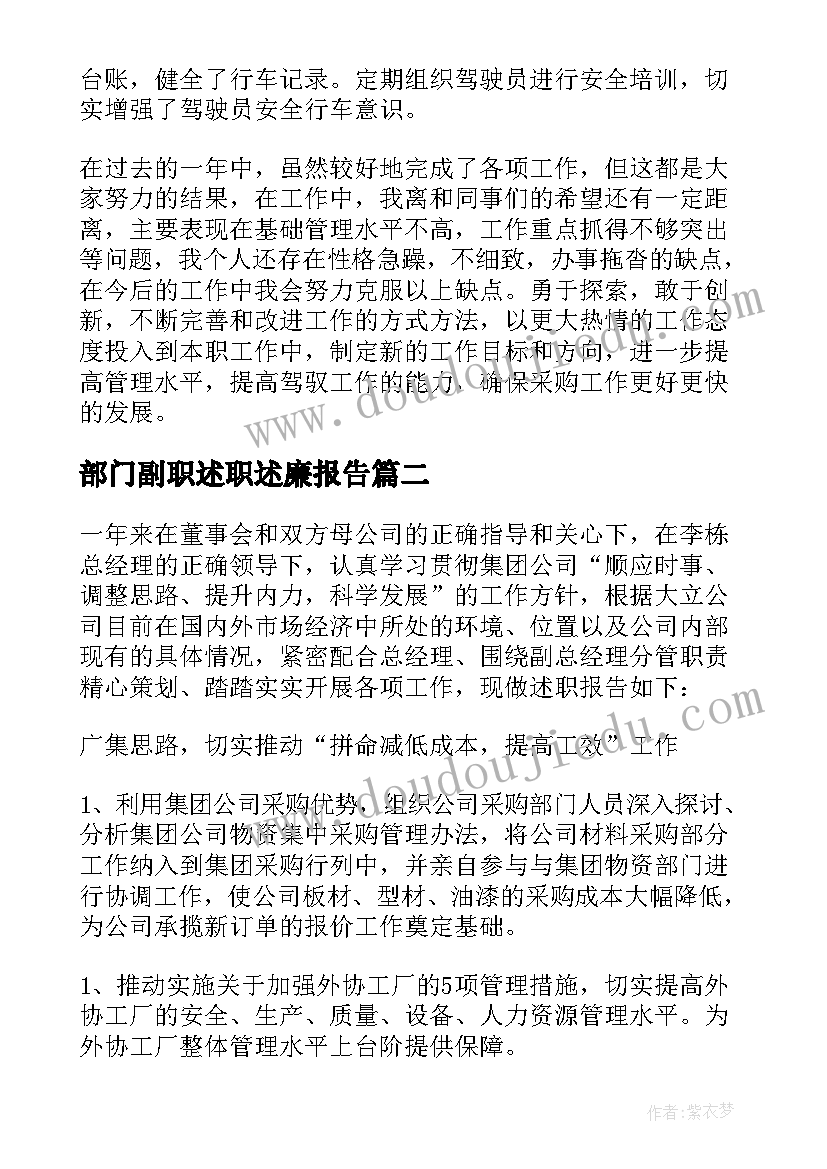 部门副职述职述廉报告(通用5篇)