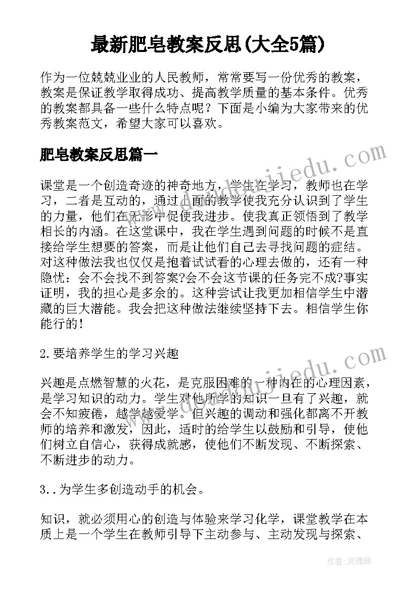 最新肥皂教案反思(大全5篇)