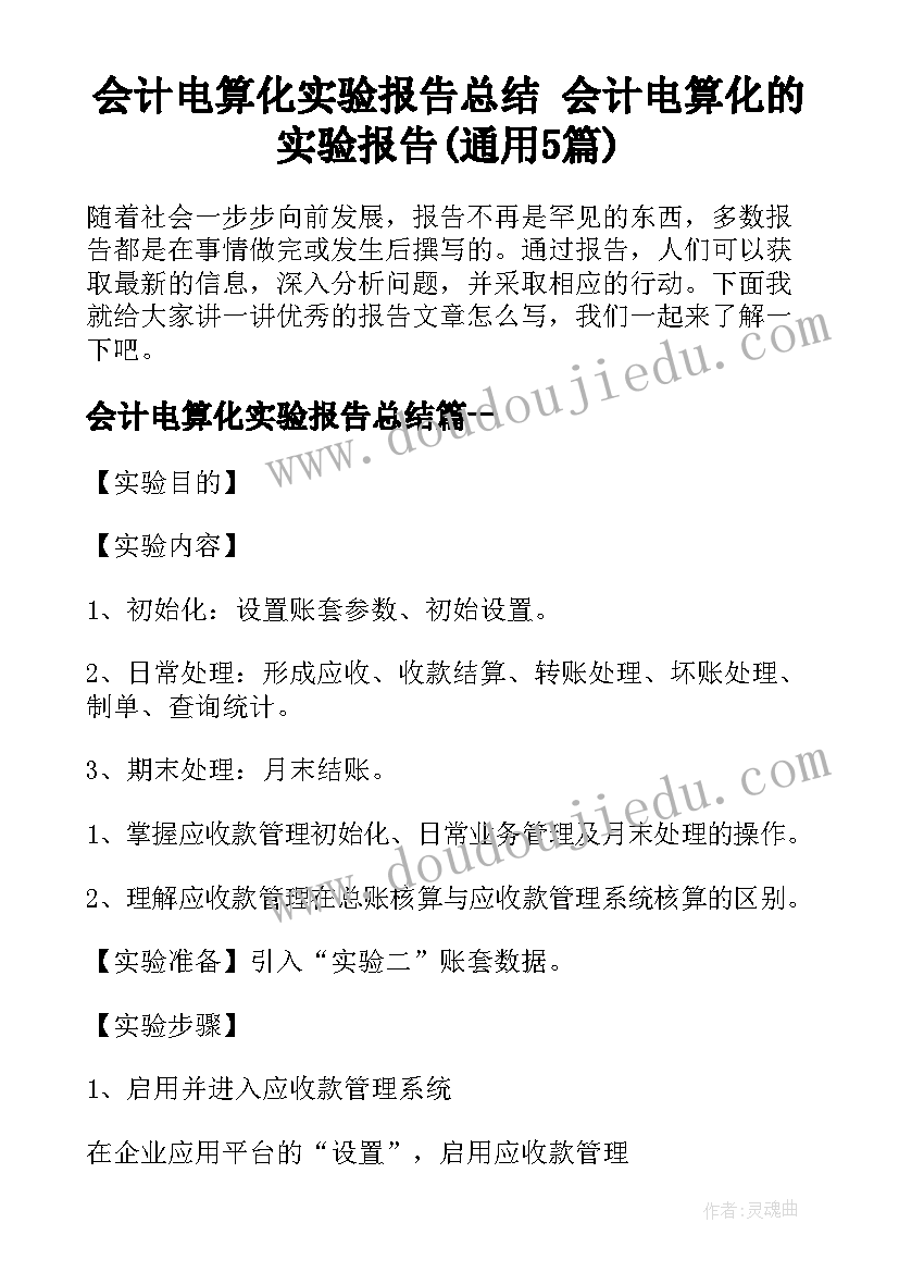 会计电算化实验报告总结 会计电算化的实验报告(通用5篇)