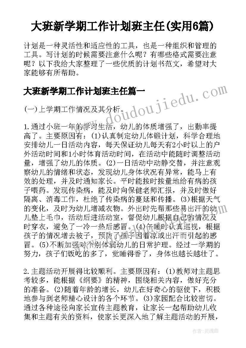 大班新学期工作计划班主任(实用6篇)