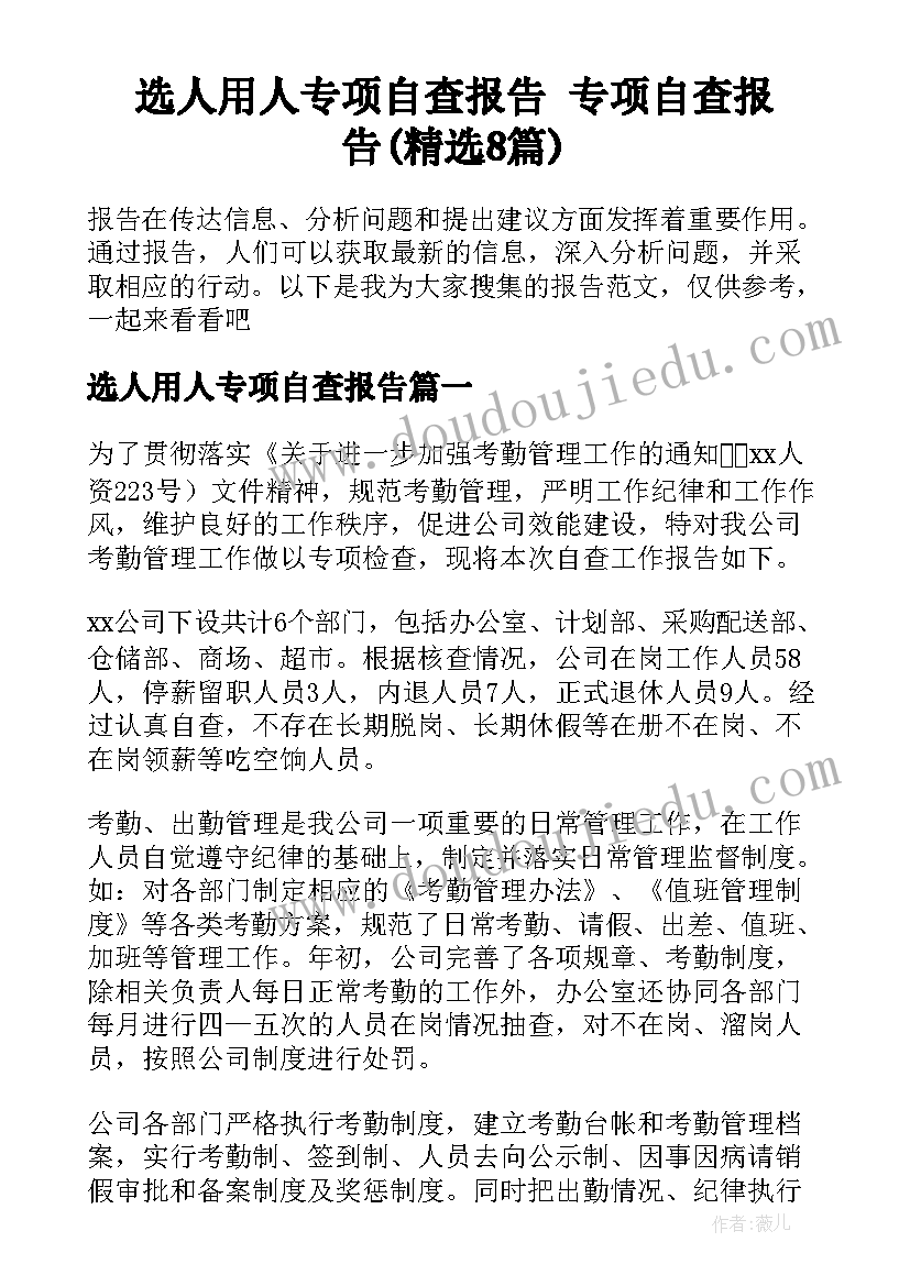 选人用人专项自查报告 专项自查报告(精选8篇)