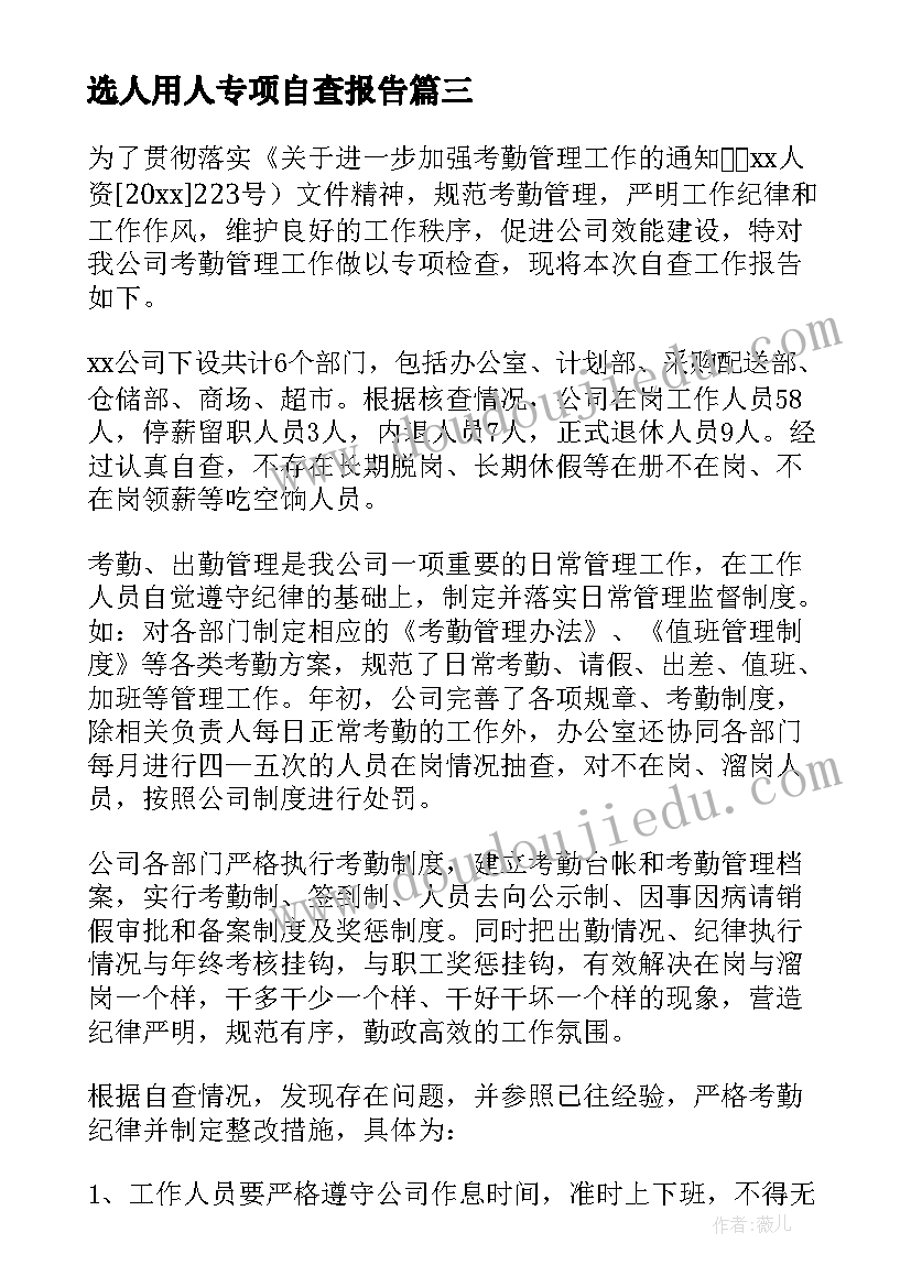 选人用人专项自查报告 专项自查报告(精选8篇)