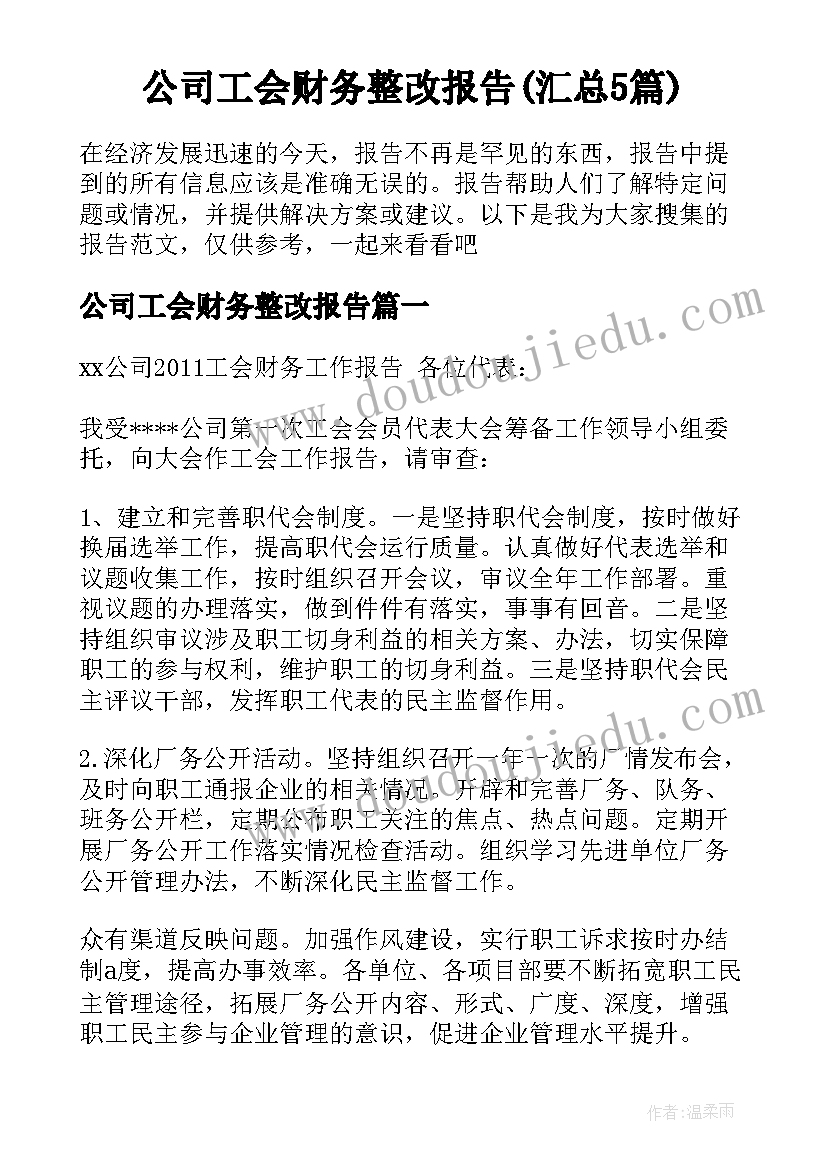 公司工会财务整改报告(汇总5篇)