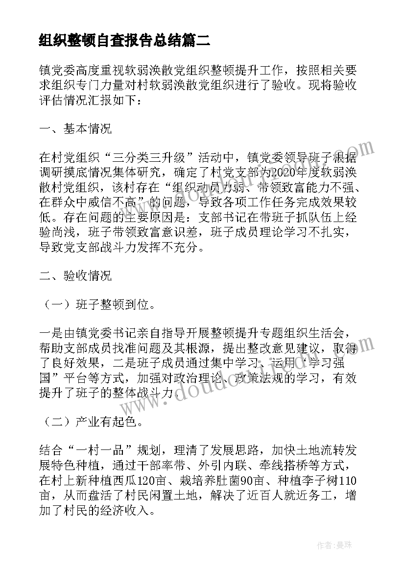 最新组织整顿自查报告总结(实用5篇)