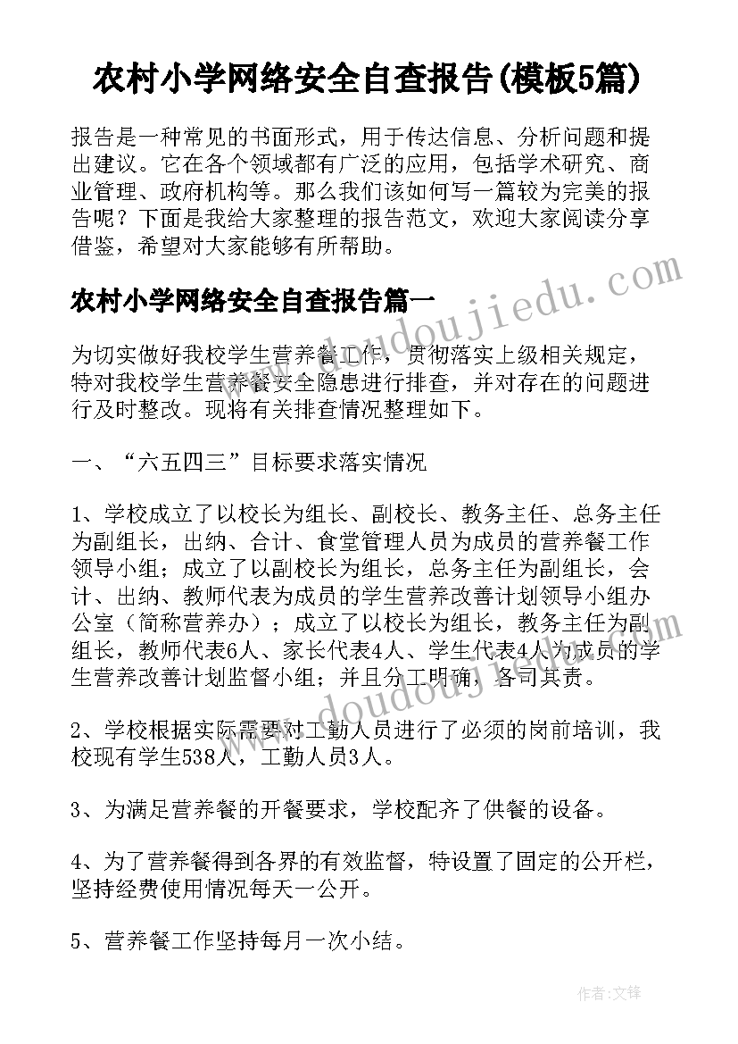 农村小学网络安全自查报告(模板5篇)