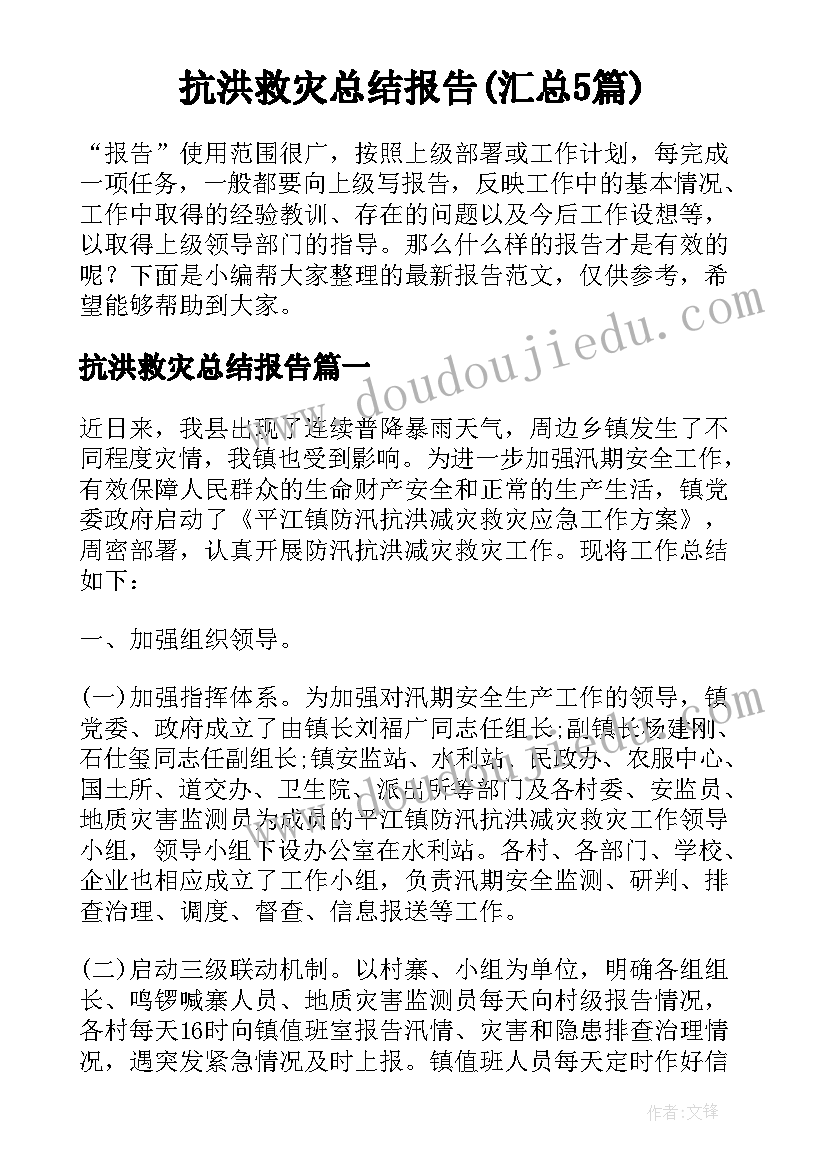 抗洪救灾总结报告(汇总5篇)