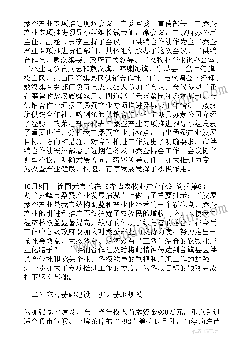 最新专项技术报告(优秀5篇)