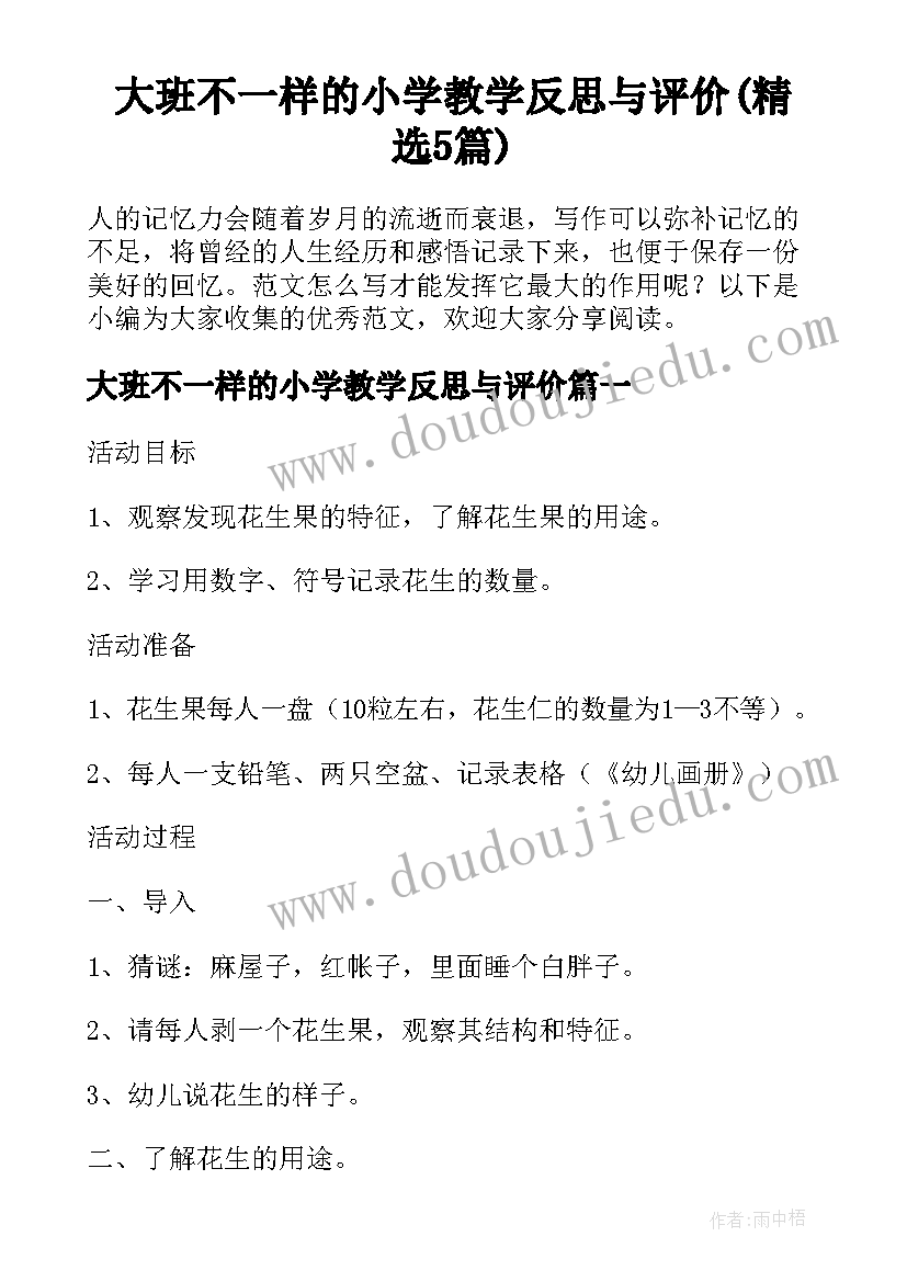 大班不一样的小学教学反思与评价(精选5篇)