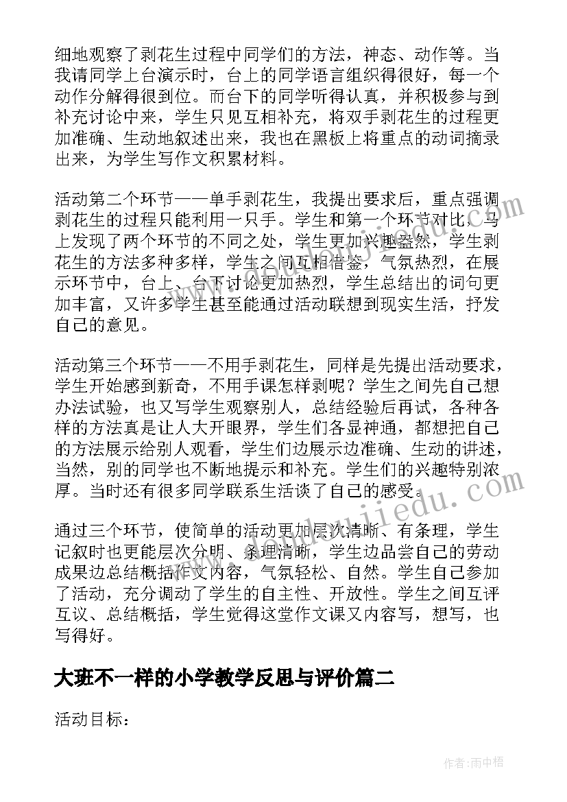 大班不一样的小学教学反思与评价(精选5篇)