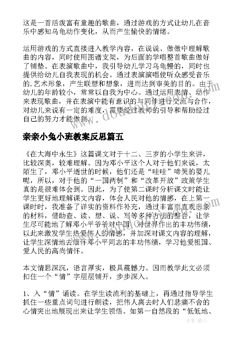 最新亲亲小兔小班教案反思 大班故事想看大海的乌龟教学反思(模板7篇)