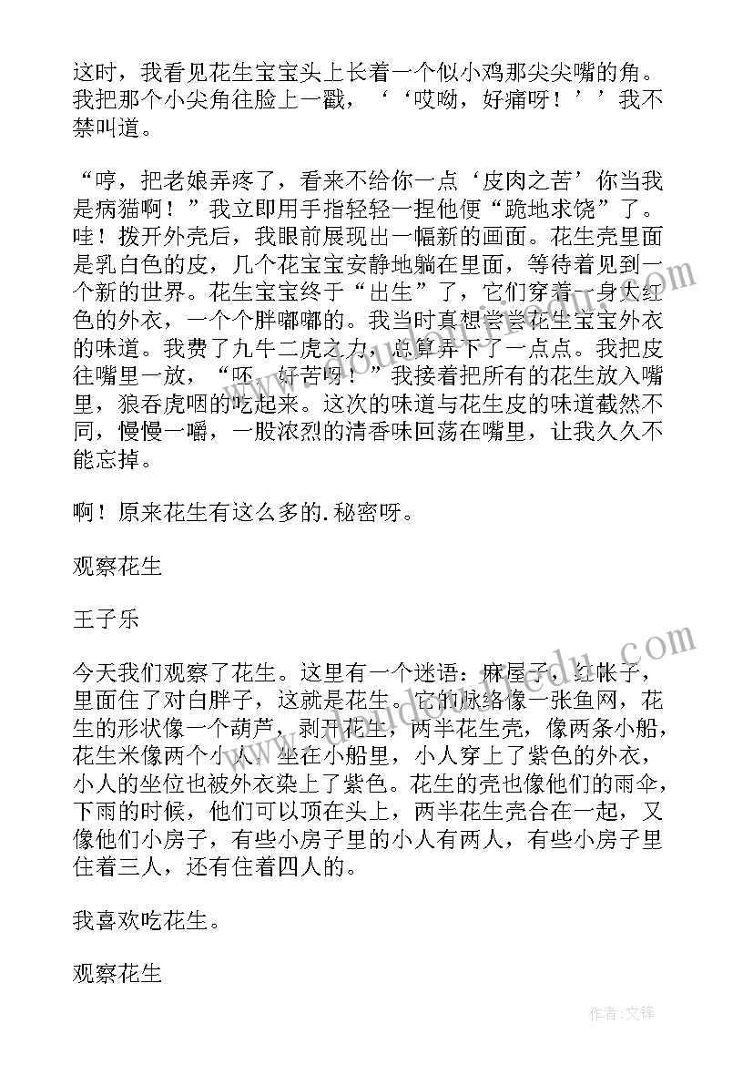 最新活动花生乐园 观察花生活动教案(大全5篇)