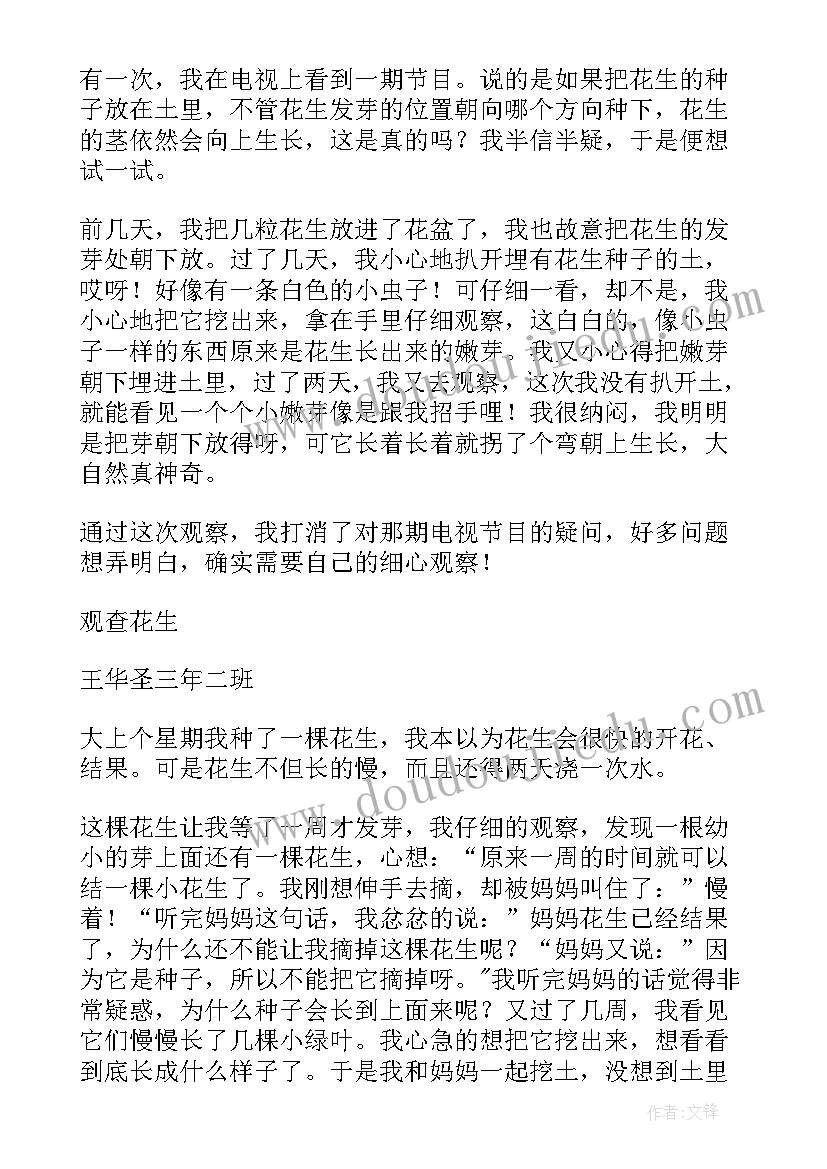 最新活动花生乐园 观察花生活动教案(大全5篇)