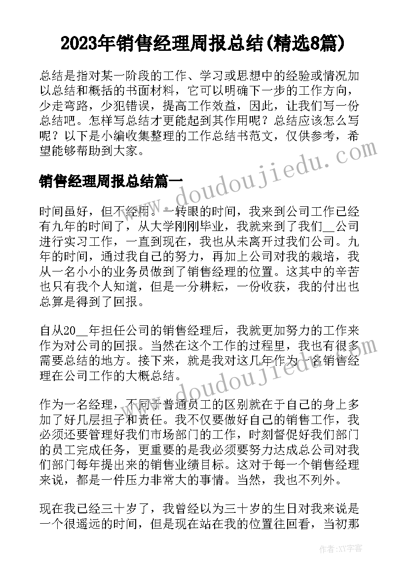 2023年销售经理周报总结(精选8篇)