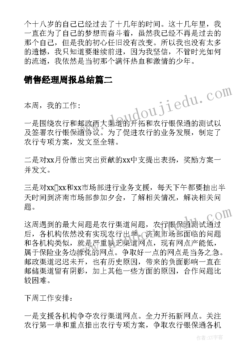 2023年销售经理周报总结(精选8篇)