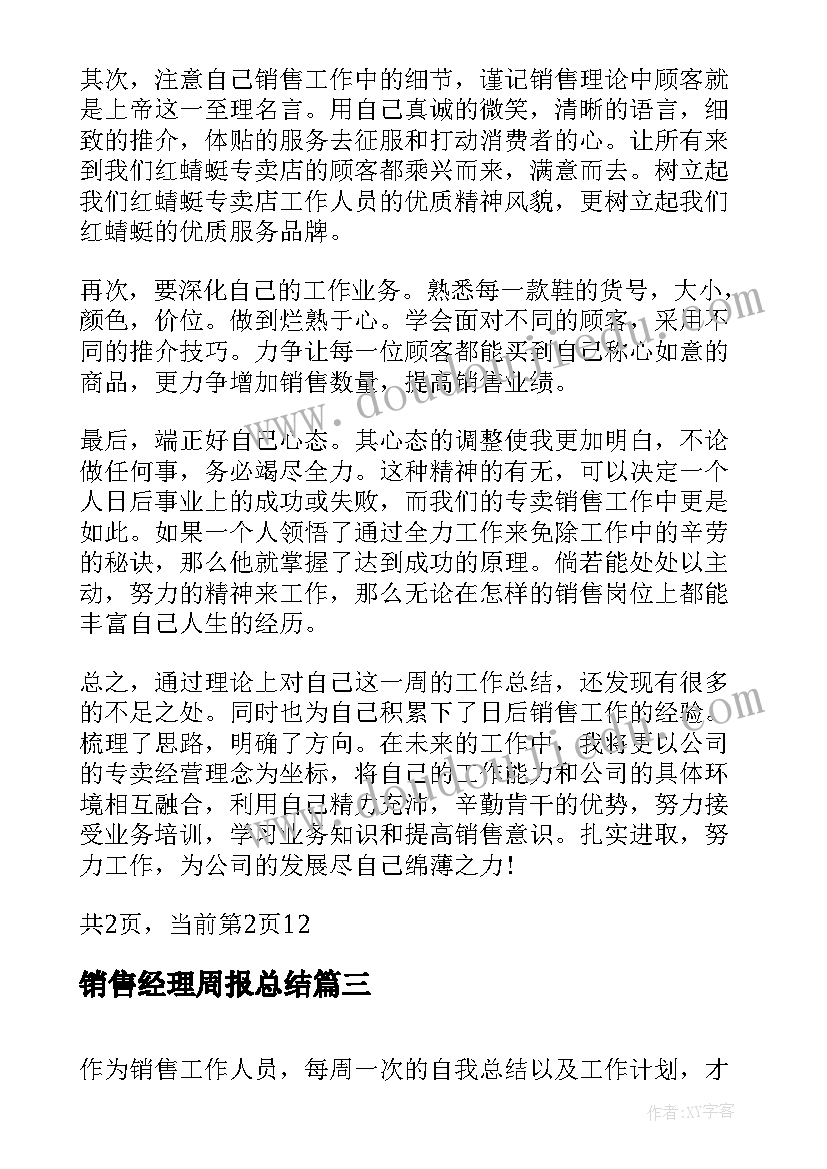 2023年销售经理周报总结(精选8篇)