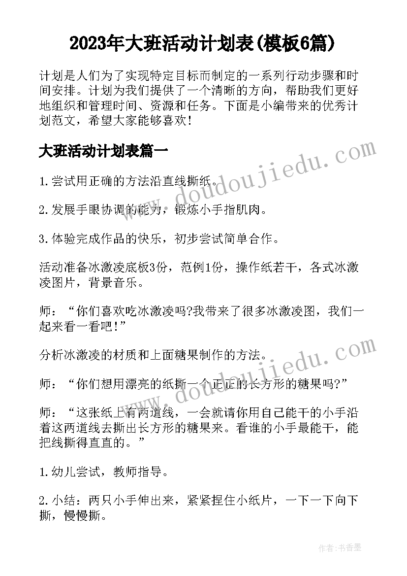 2023年大班活动计划表(模板6篇)