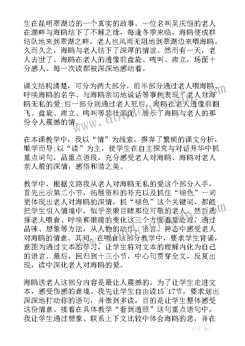 2023年老人与海教学设计第二课时 老人与海鸥教学反思(优质8篇)